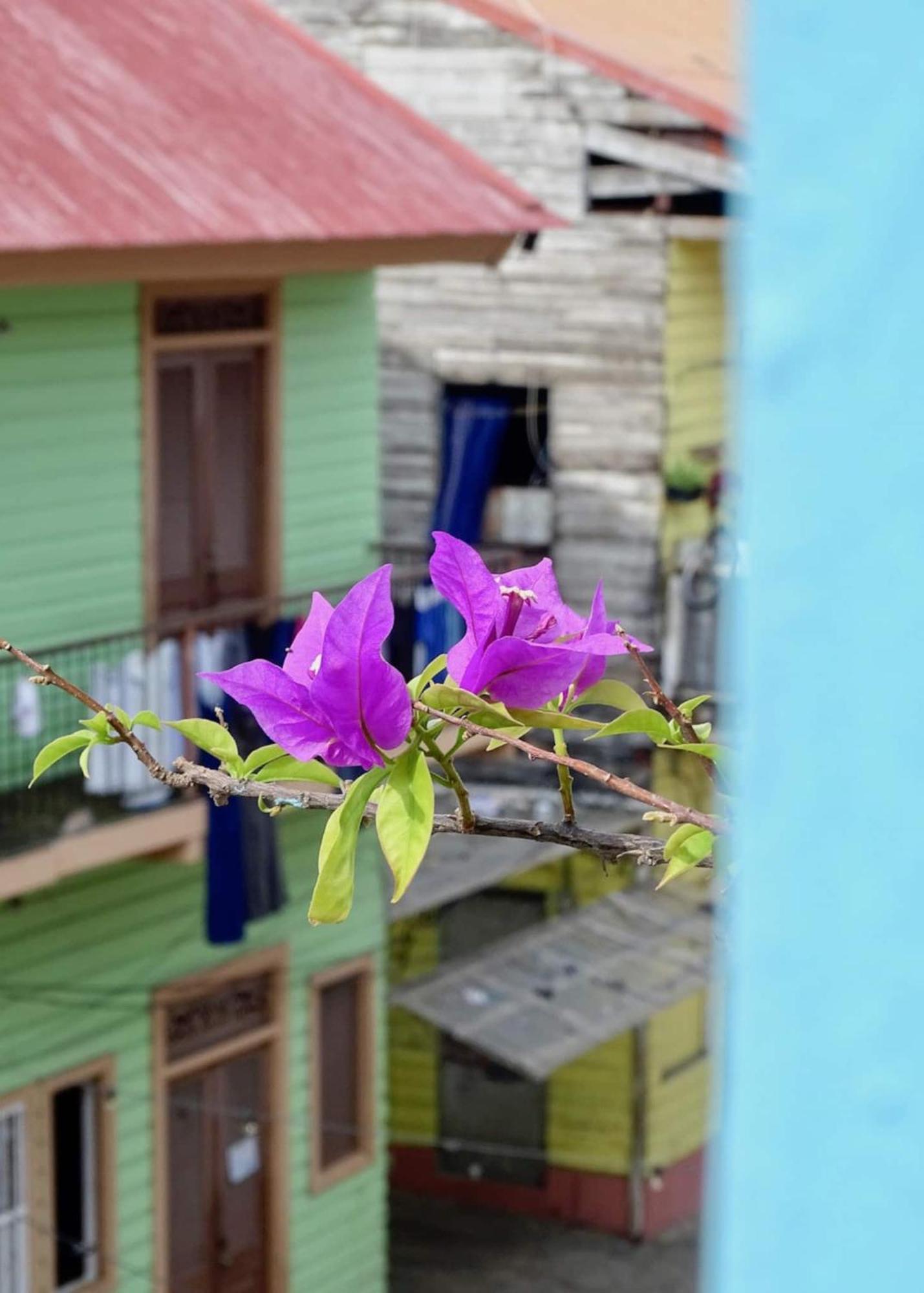 Bocas Style Apartment - Casco Viejo 파나마시티 외부 사진